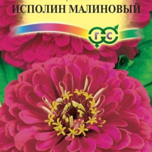 Цинния Исполин малиновый 0,3 г Н12