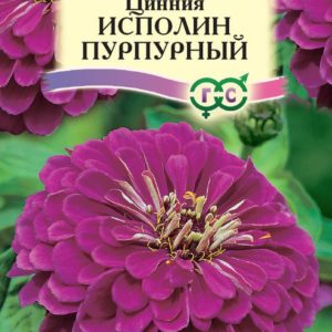 Цинния Исполин пурпурный 0,3 г Н12