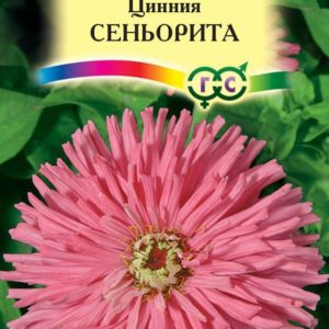Цинния Сеньорита 0,2 г Н12