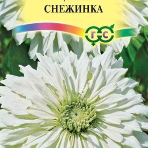 Цинния Снежинка 0,2 г Н12