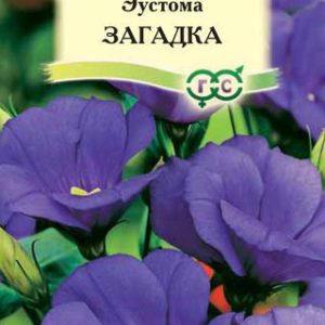 Эустома Загадка F1 5шт. гранул. пробирка Саката Н12