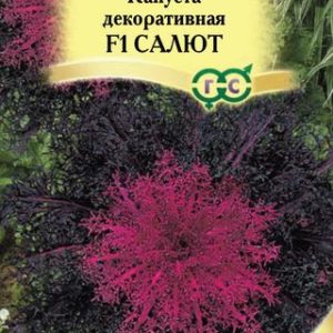 Капуста декоративная Салют* 7 шт. Н12