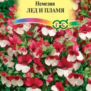 Немезия Лед и пламя* 0,02 г Н12