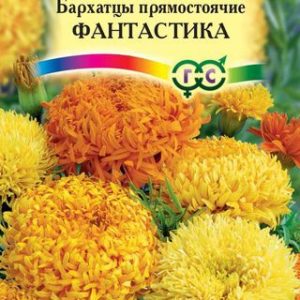 Бархатцы пр. Фантастика, смесь (Тагетес) 0,1 г Н12