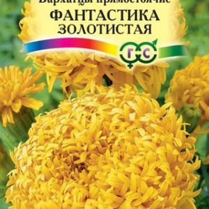 Бархатцы пр. Фантастика золотистая (Тагетес) 0,1 г Н12