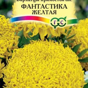 Бархатцы пр. Фантастика желтая (Тагетес) 0,1 г Н12