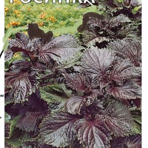 Перилла овощная Росинка 0,2 г