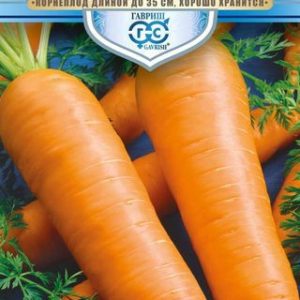 Морковь Русский гигант 2,0 г серия Русский богатырь Н 13