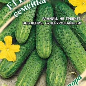 Огурец Изумрудная семейка F1 0,3 г корнишон автор. Н12