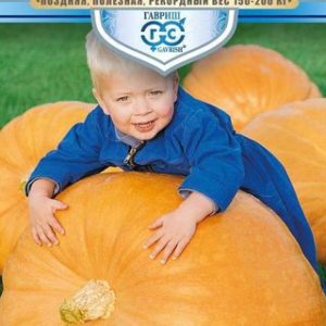 Тыква Стопудовая 1,0 г серия Русский богатырь Н13
