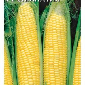 Кукуруза Симпатия 5 г Н12