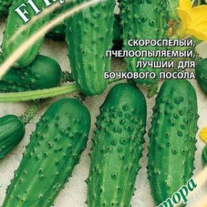 Огурец Кум-да- Кума F1 10 шт. автор. Н12