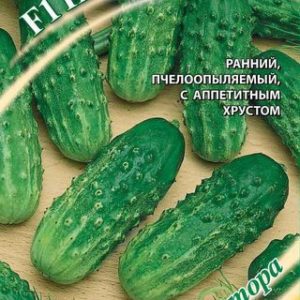 Огурец Насоли! F1 10 шт. автор. Н12