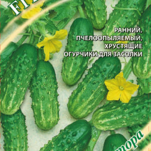 Огурец Посол F1 10 шт. Лучший в засол! автор. Н12
