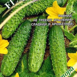 Огурец Хрустик F1 10 шт.корнишон автор. Н12