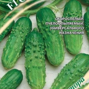Огурец Соловец F1 0,5г автор. Н12