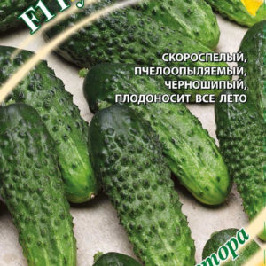 Огурец РусХруст F1 10 шт.засолочный автор. Н12