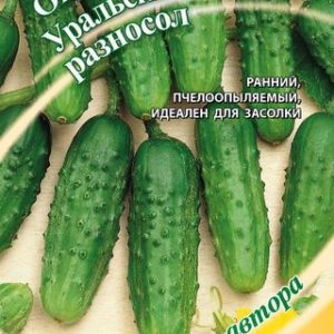 Огурец Уральский разносол 0,5 г автор. Н12