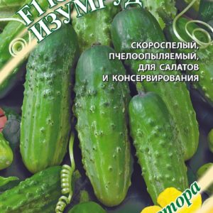 Огурец Южный изумруд F1 10 шт.автор.Н12