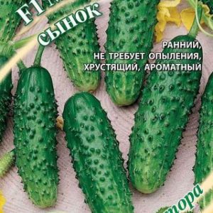 Огурец Маменькин сынок F1 10 шт.корнишон автор. Н12