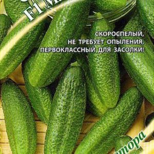 Огурец Малохольный F1 10 шт.корнишон автор. Н12
