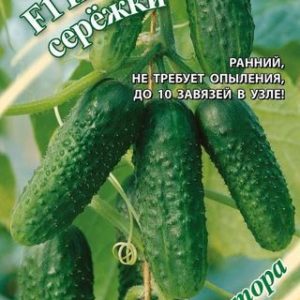 Огурец Изумрудные сережки F1 10 шт.корнишон автор. Н12