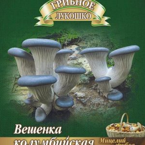 Вешенка Колумбийская