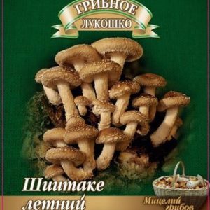 Шиитаке Летний