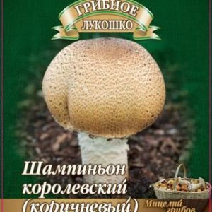 Шампиньон Королевский (Коричневый)
