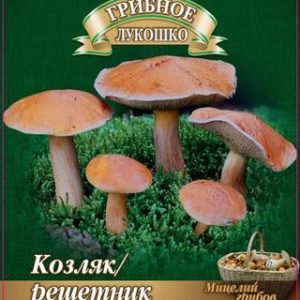 Козляк Решетник