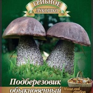 Подберезовик