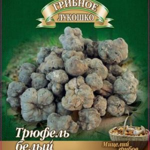 Трюфель белый Российский