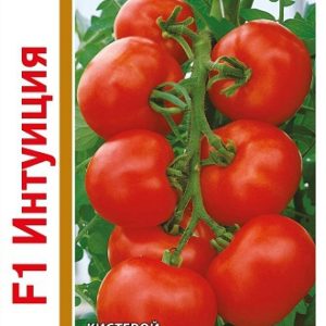 Томат Интуиция F1 серия 1+1/ 25 шт. автор. Н12