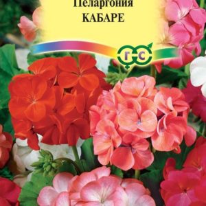 Пеларгония Кабаре F2 зональная* 4 шт. Н12