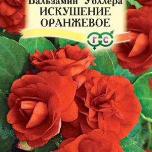 Бальзамин Уоллера Искушение оранжевое * 5 шт. Н12