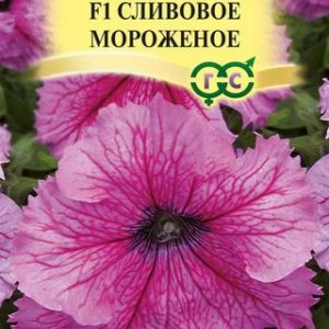 Петуния Мороженое сливовое F1 крупноцв. 5 шт. гранул. проб. Н12