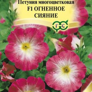 Петуния Огненное сияние F1 многоцв.* 5 шт. Н12