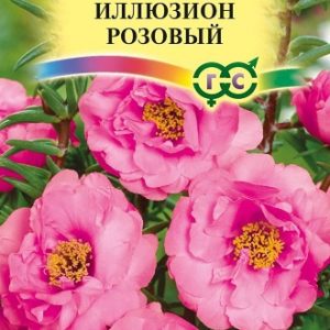 Портулак Иллюзион розовый* 0,01 г Н12