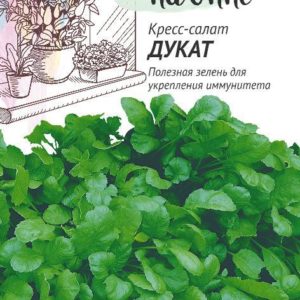 Кресс-салат Дукат 1,0 г сер. Урожай на окне