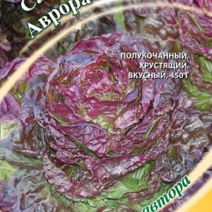 Салат Аврора 0,5 г полукочанный автор. Н9