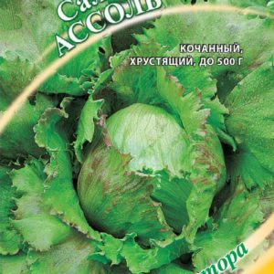 Салат Ассоль 0,5 г кочанный автор.