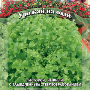 Салат Кредо 0,5 г листовой,темно-зеленый сер. Урожай на окне Н10