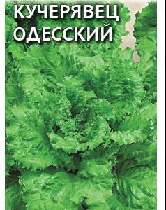 Салат Кучерявец Одесский 0,5 г хрустящий сер. Традиция Н12