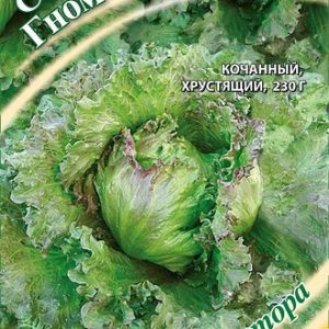 Салат мини Гном 0,5 г автор. кудрявый,хрустящий,темно-зеленый автор.
