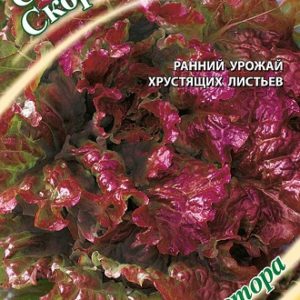 Салат мини Скороход 0,5 г красный,хрустящий автор. Н9