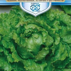 Салат Русский гигант 0,5 г серия Русский богатырь Н13