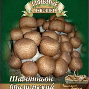 Шампиньон Бразильский