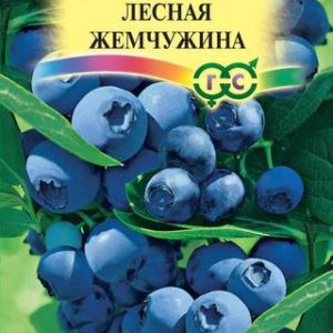 Черника обыкновенная Лесная жемчужина* 30 шт.