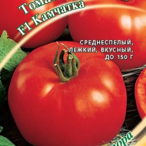 Томат Камчатка F1 0,1 г автор.