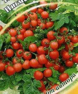 Томат Пигмей, комнатный 0,1 г автор. Н10